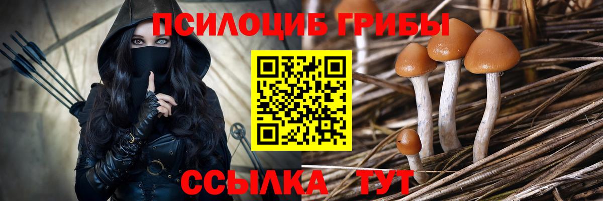 Галлюциногенные грибы MAGIC MUSHROOMS Зерноград