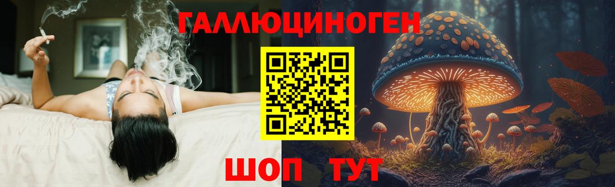 Зерноград  Псилоцибиновые грибы мицелий  Вход с VPN 